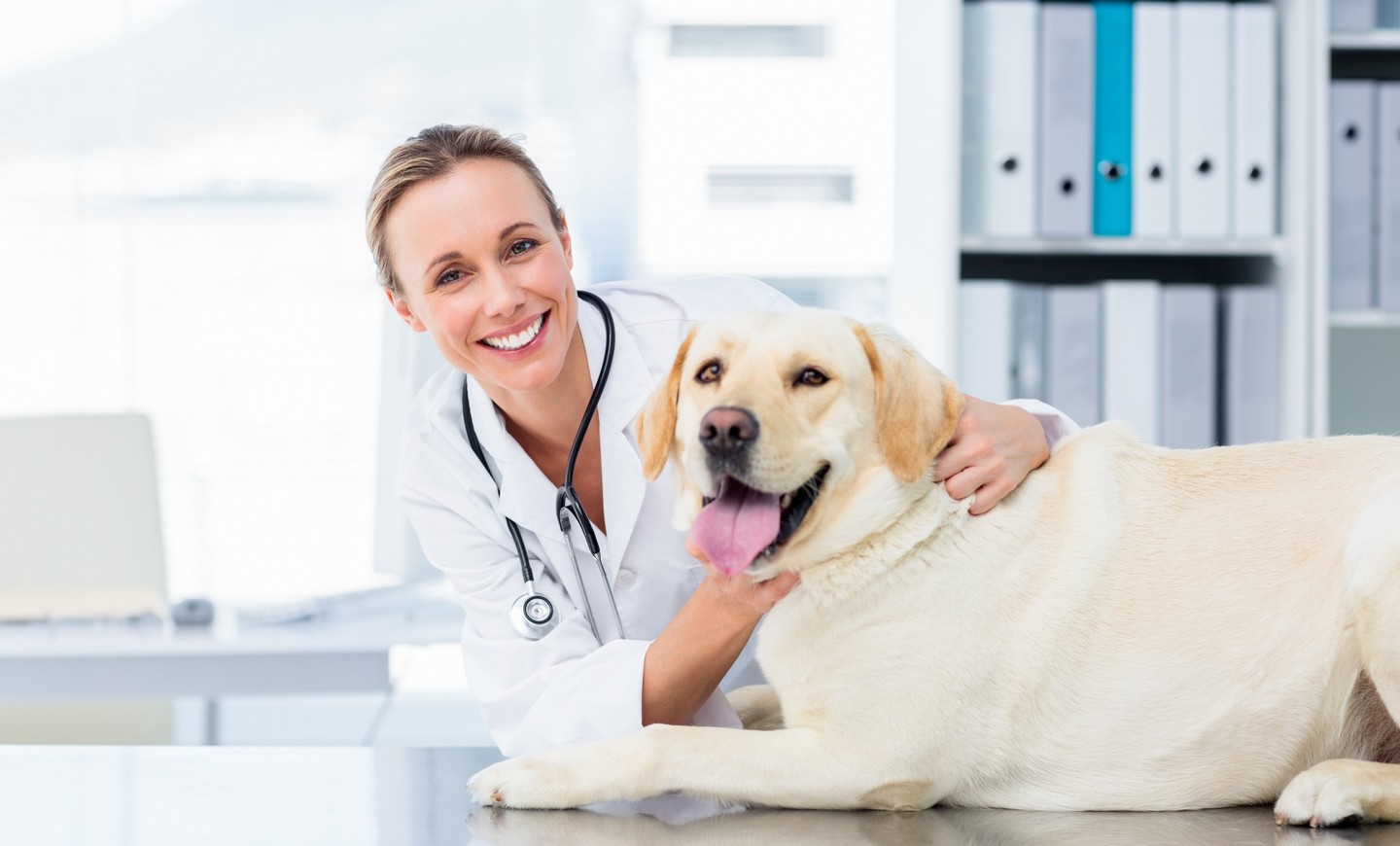Pet Physical Exam Services in East Palatka and Crescent City, FL