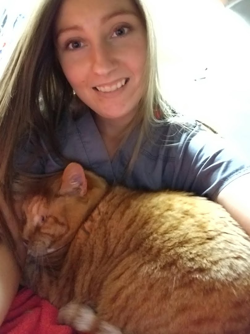 East Palatka Care Team Animal Health Center