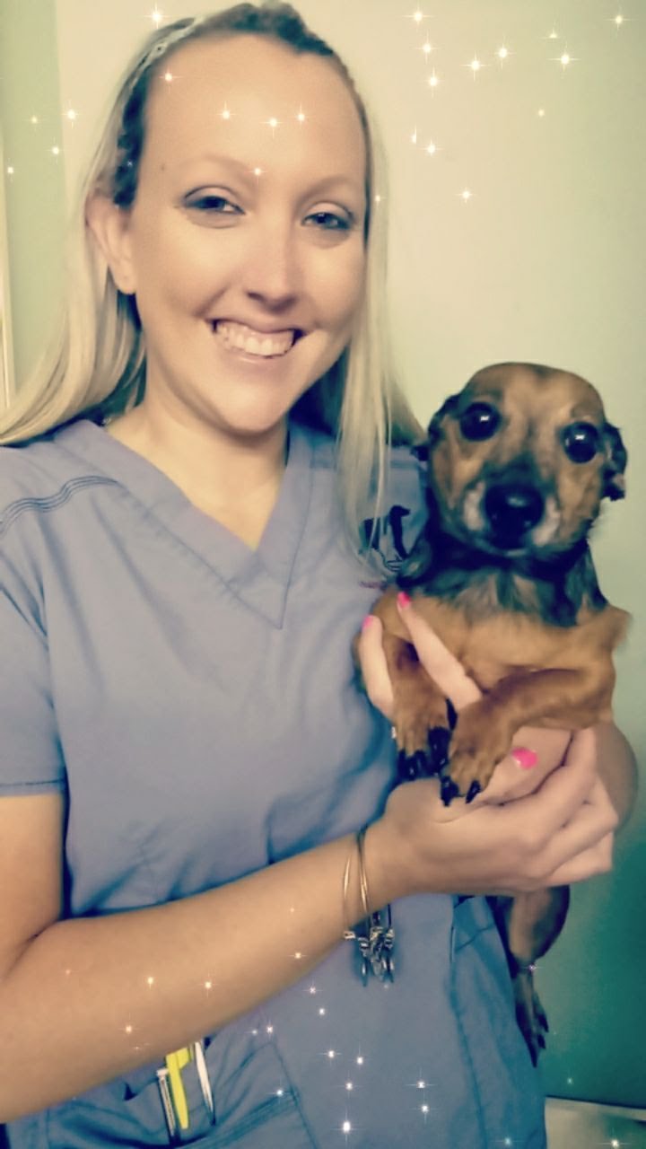 East Palatka Care Team Animal Health Center