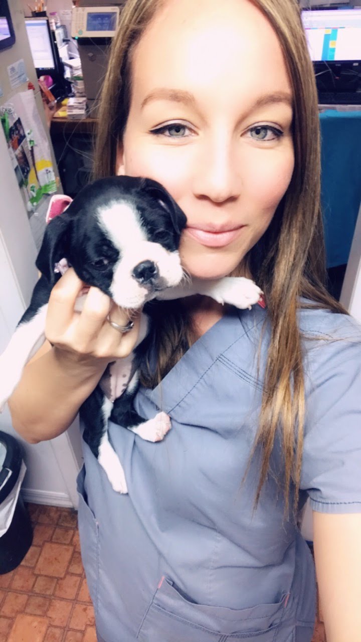 East Palatka Care Team Animal Health Center